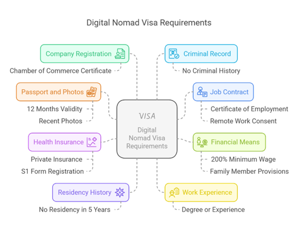 Spain Step-by-step DNV Application Process Spain Digital Nomad Visa Application Process Infographic