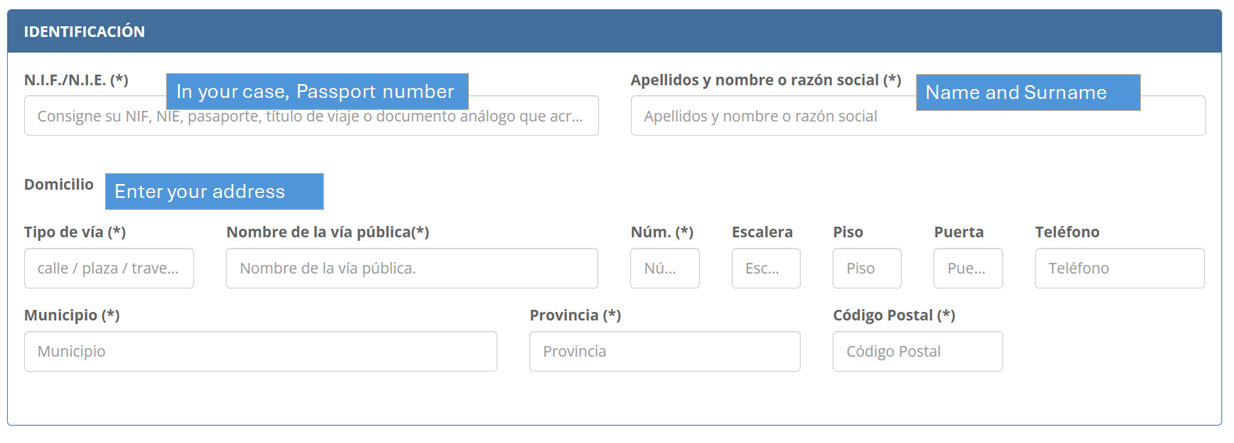 How to Fill and Pay for Tax 790 012 for TIE - Step 1